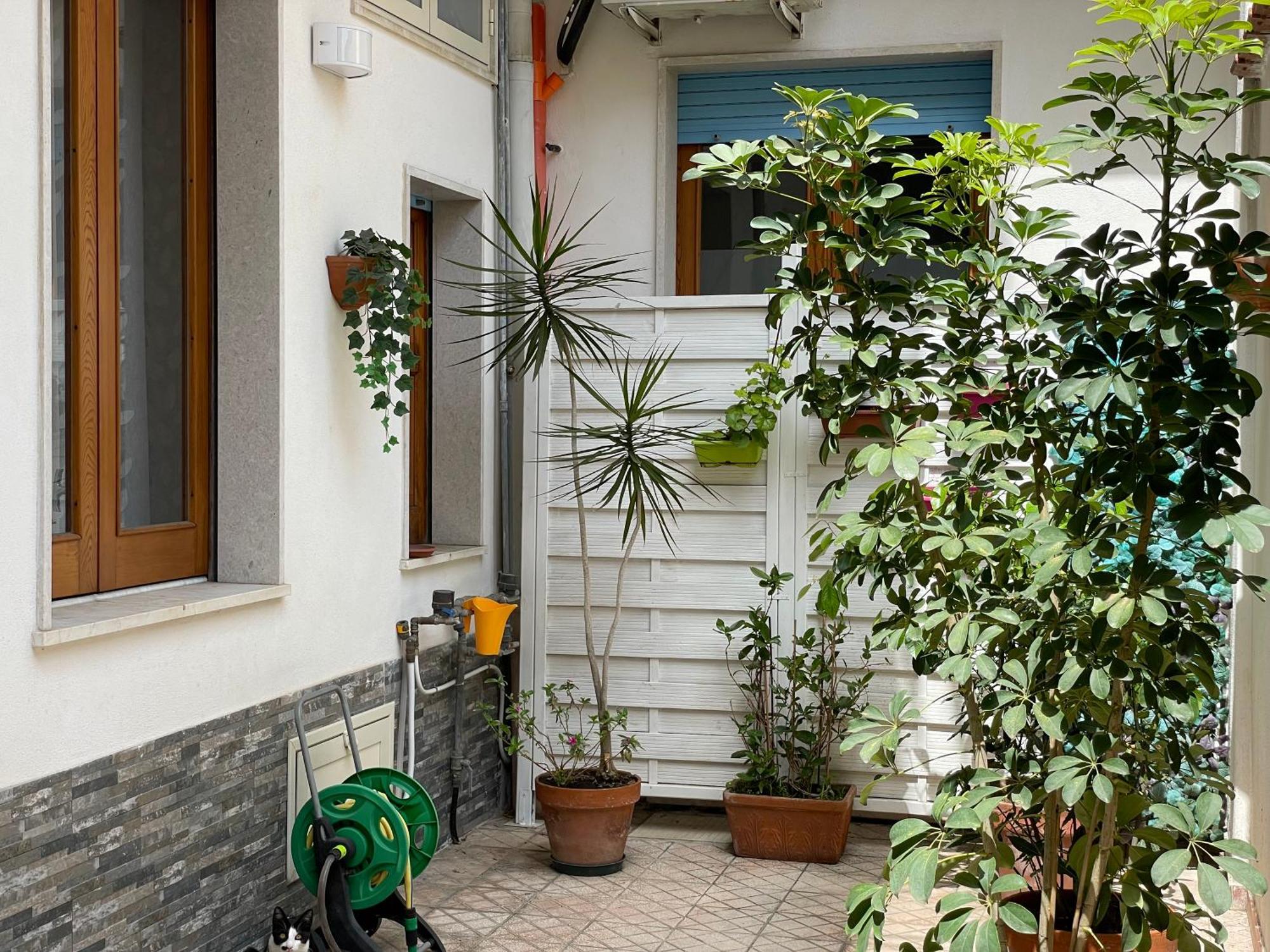 Apartment Casa Ninetta *